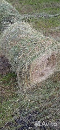 Продам сено в тюках