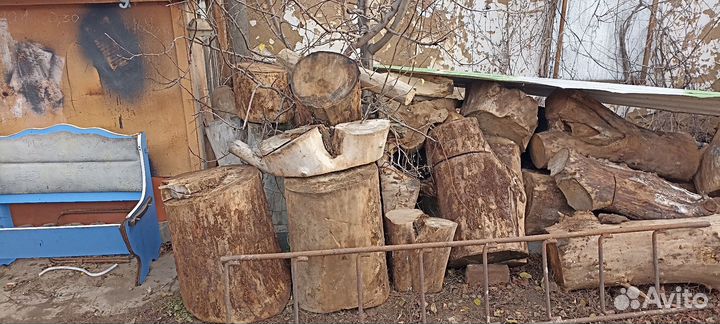 Бревно кругляк,пенёк