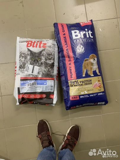 Паучи Purina pro plan