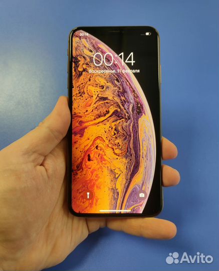 iPhone Xs Max, 256 ГБ