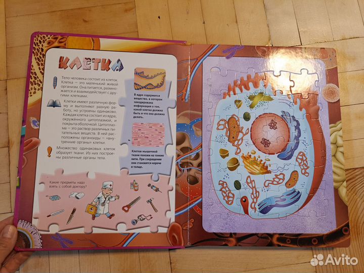 Пазлы, книга с пазлами о строении человека