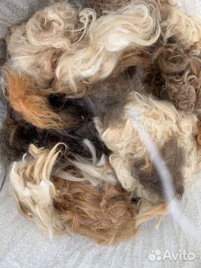 Собачья шерсть пух