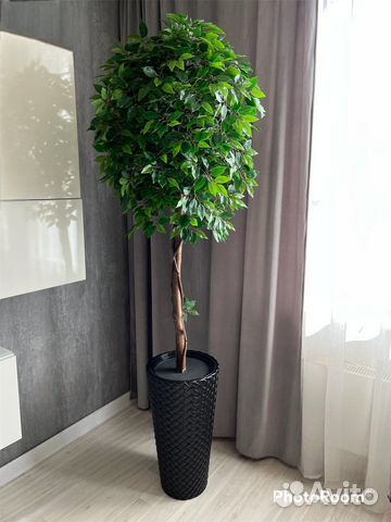 Искусственное декоративное дерево фикус купить в Москве | Товары для ...