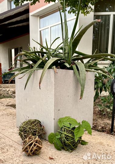 Уличные вазоны бетонные