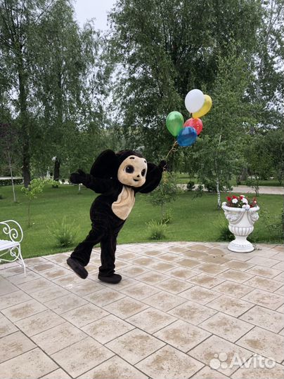 Аниматор Чебушка