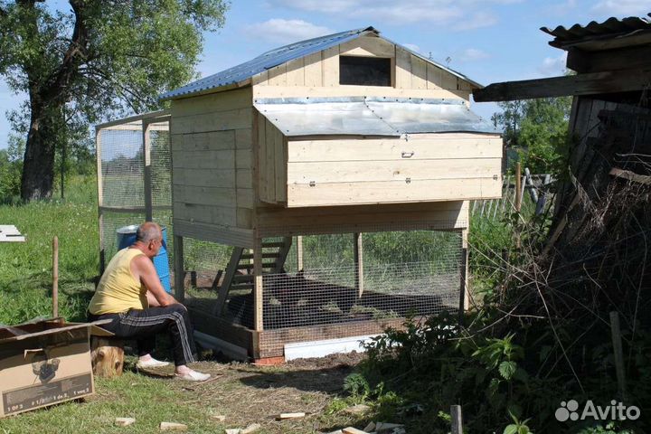 Проект курятника
