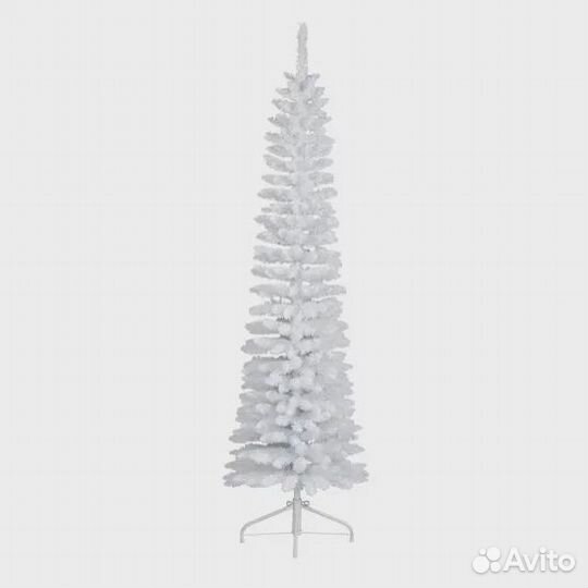 Сосна новогодняя