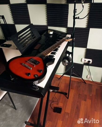 Электрогитара Homage Heg500rds