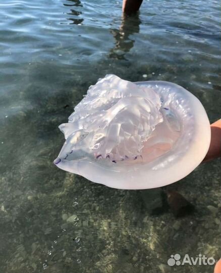 Отдых на чёрном море