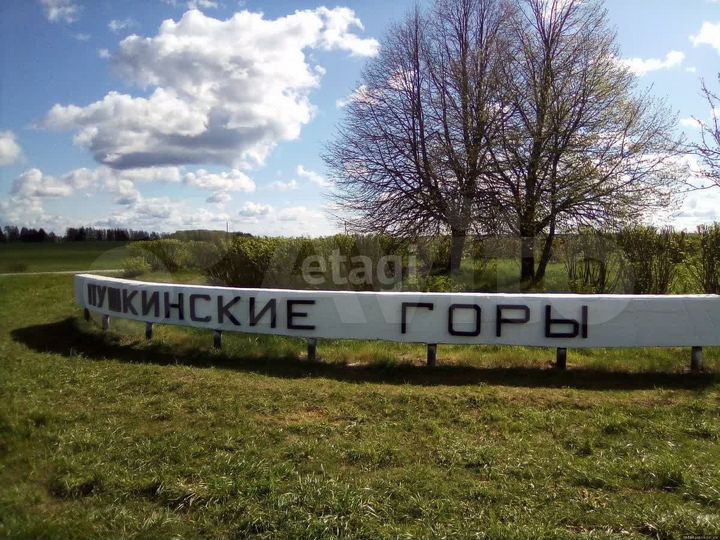 Участок 291,9 га (СНТ, ДНП)