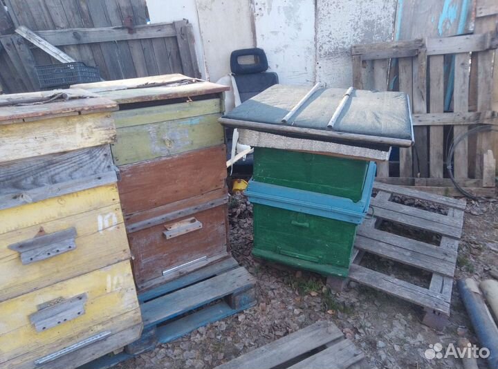 Ульи для пчел