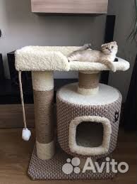 Когтеточка для кошек