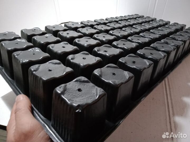 Кассета для рассады 50-израиль