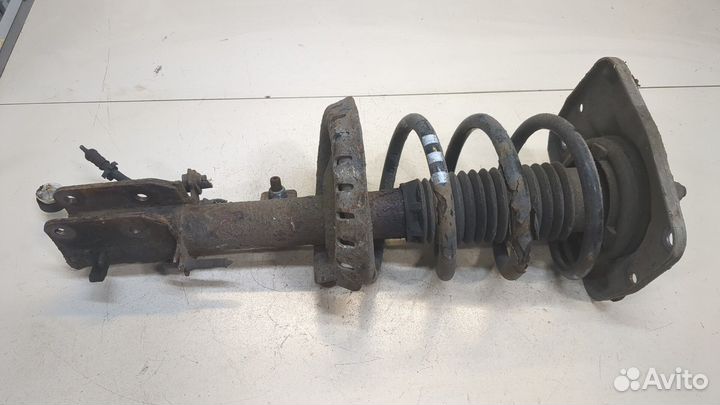 Амортизатор подвески Peugeot Expert, 2009