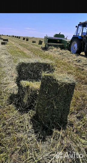 Сено луговое в тюках
