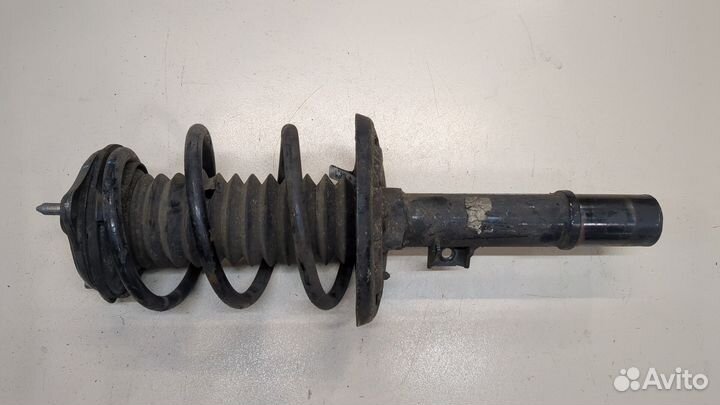 Амортизатор подвески Honda Civic, 2019