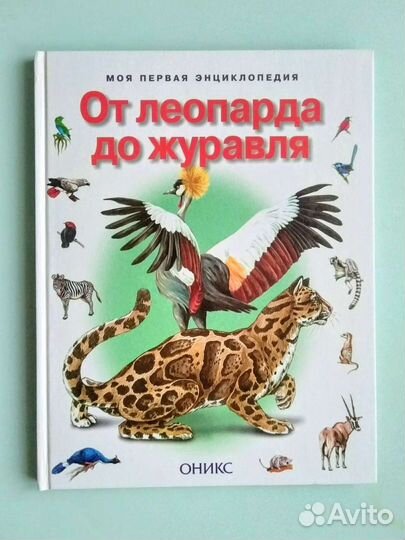 Детская энциклопедия