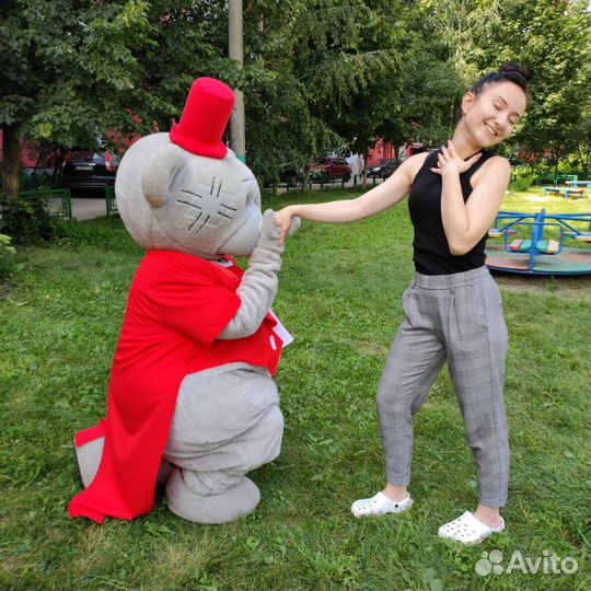 Ростовая кукла, Аниматор