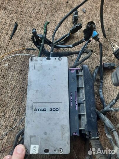 Мозги stag-300-6