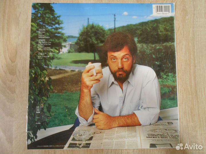 Пластинка Billy Joel - Nylon Curtain (1982)