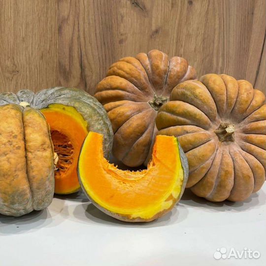 Семена тыквы мускат де профанс