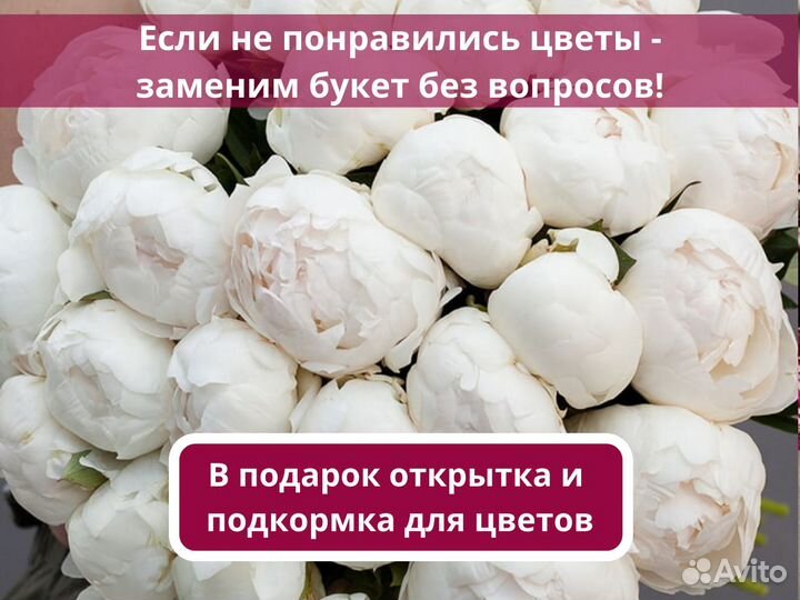 Пионы букет. Доставка бесплатно