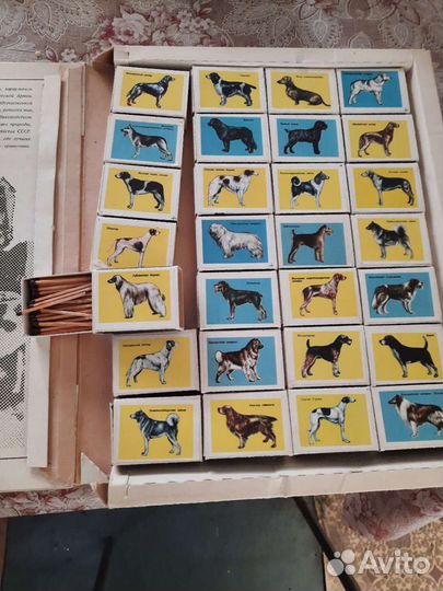 Спички СССР Андропов