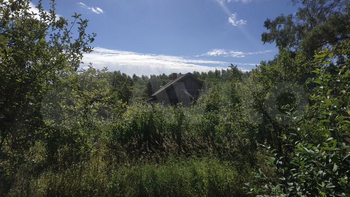 Дом 48 м² на участке 41 сот.