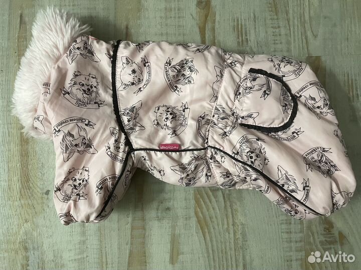 Комбинезон для маленькой собаки (суки) formydog