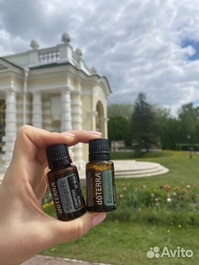 Эфирное масло Эвкалипта и Пихты