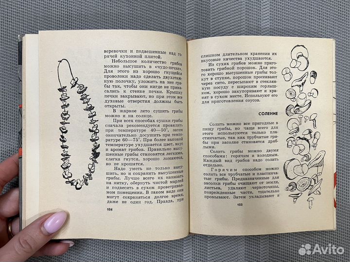 Шульга Карклина Грибы наших лесов 1966