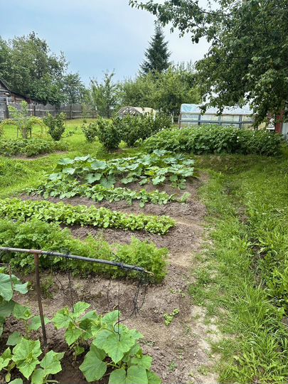 Дом 69 м² на участке 30 сот.