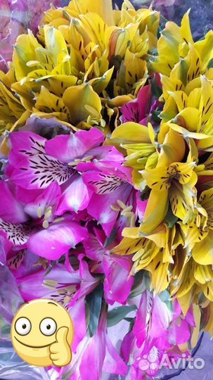 Цветы букет альстромия