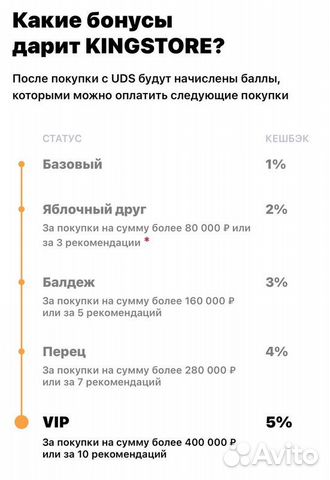 Kingstore - франшиза техники Apple в России