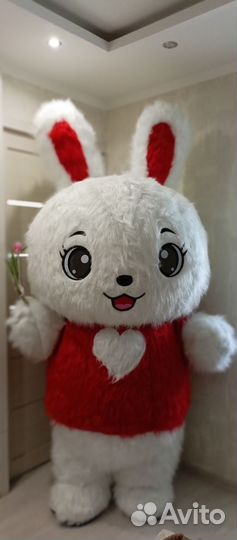 Ростовая кукла Аэро Зайка.Кошка.Поздравление