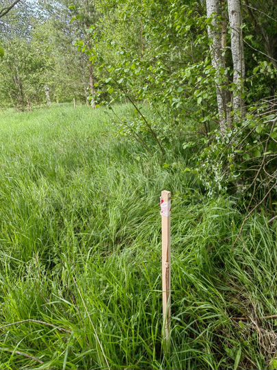 Участок 13 сот. (ИЖС)