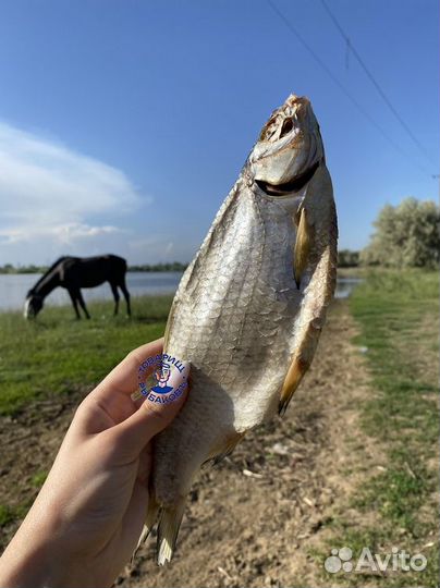 Астраханская вяленая вобла