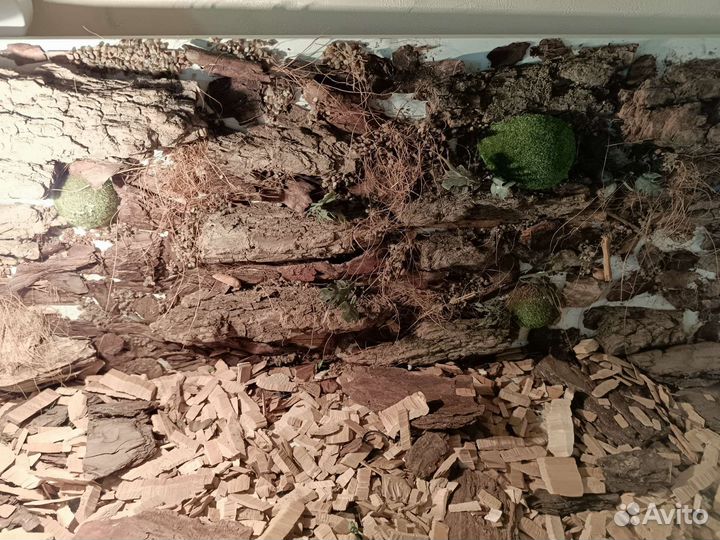 Террариум большой