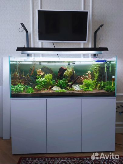 Аквариум по индивидуальным размерам