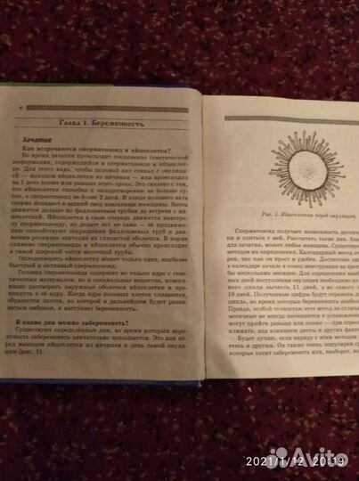 Две интересные книги в одной (перевёртыш)