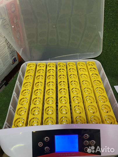 Инкубатор Egg Incubator HHD EW-56S 56 яиц