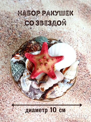 Ракушки с морской звездой - набор в корзинке
