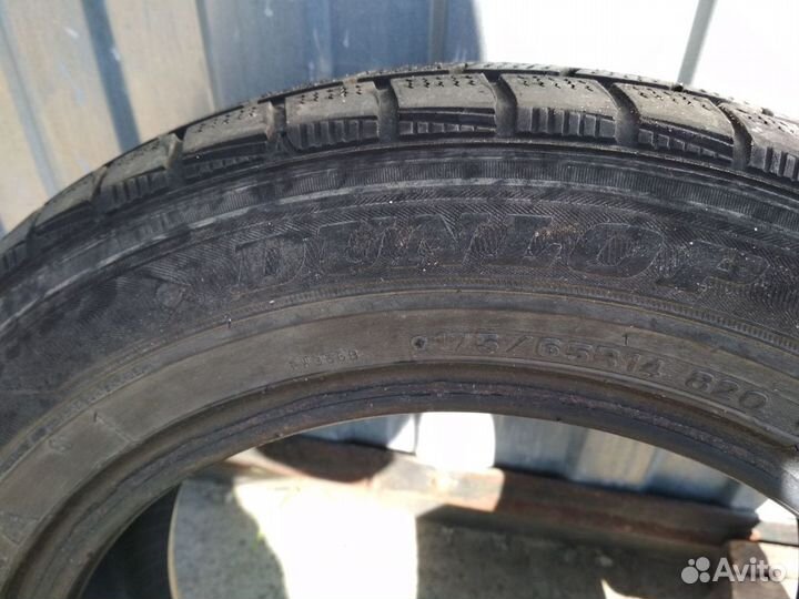 Dunlop Winter Maxx WM01 175/65 R14