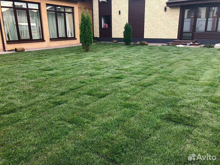 Укладка рулонного газона