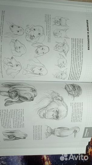 Книга по рисованию Рисуют всё