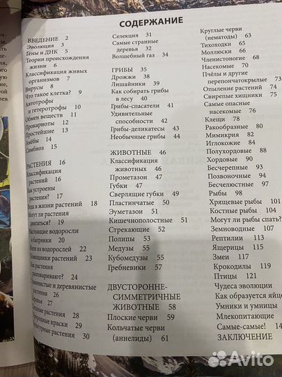 Энциклопедия