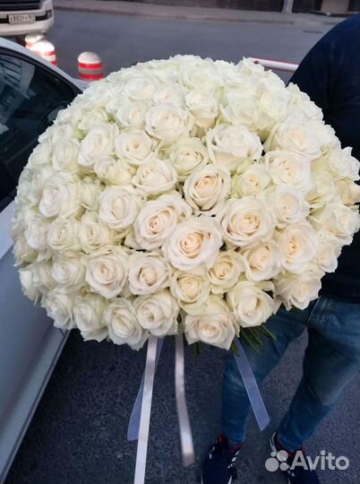 Розы, букет цветов, 101 роза, 51 роза. Розы опт