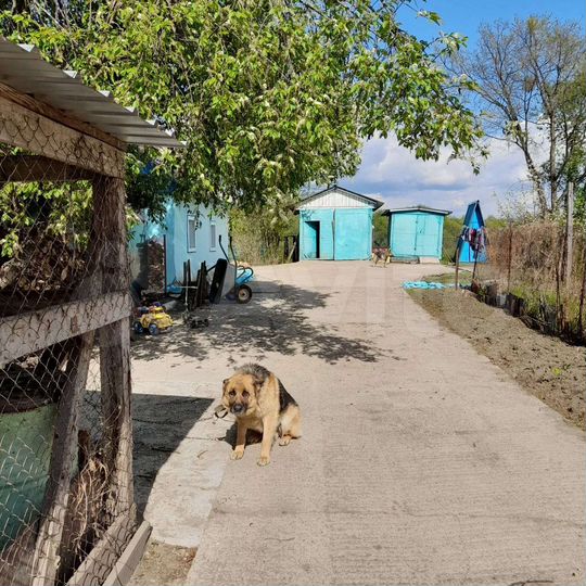 Участок 20 сот. (ИЖС)