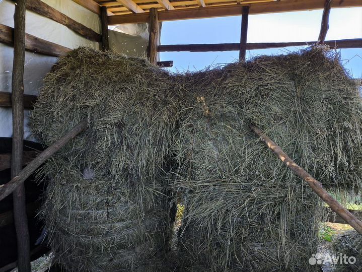 Сено в тюках