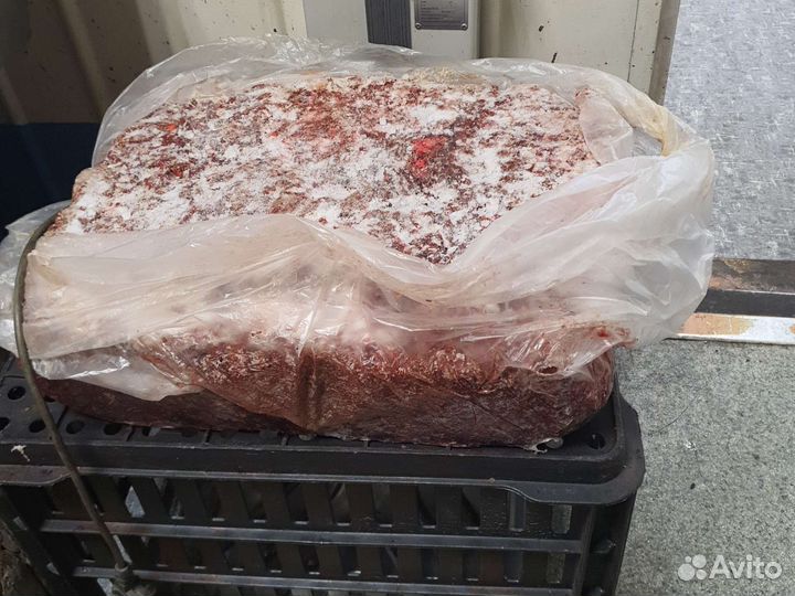 Корм для собак